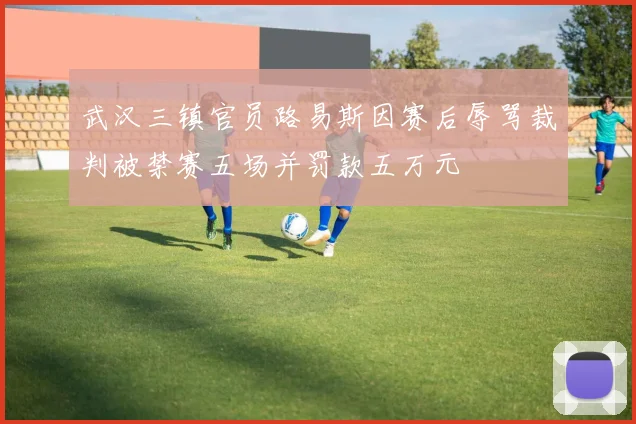 武汉三镇官员路易斯因赛后辱骂裁判被禁赛五场并罚款五万元